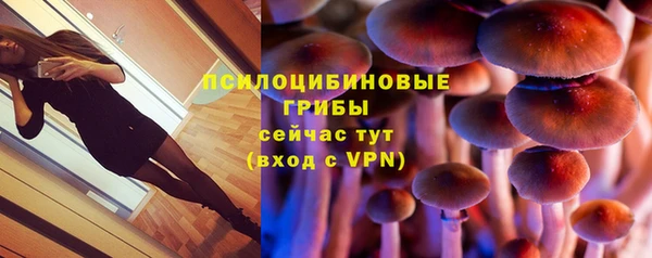 мяу мяу мука Гусев