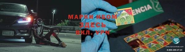 стаф Дмитров